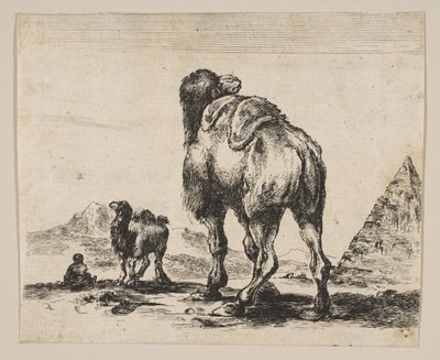 Plate 18: kamel sett bakfra med pyramide til høyre, fra Diverse dyr Di..., etter 1641. av Unbekannt