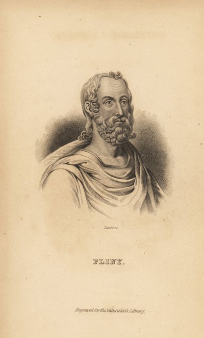 Plinius den eldre, Gaius Plinius Secundus, romersk forfatter, naturforsker og naturfilosof, AD23-79 av Unbekannt