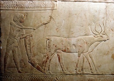 Pløying fra en egyptisk stele, 18. dynasti, 1332-1323 f.Kr. av Unbekannt