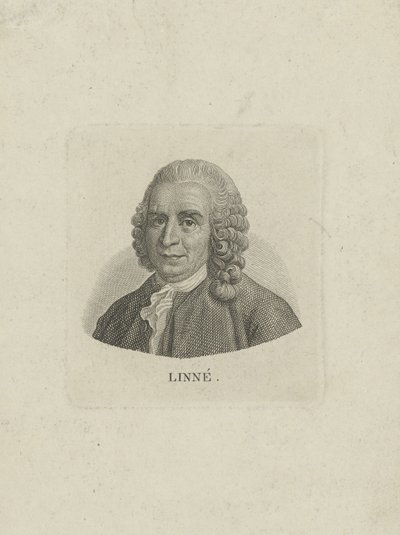 Portrett av Carl Linné 1707-1778, ca. 1780. av Unbekannt