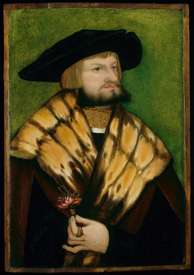 Portrett av Leonhard Fuchs, 1525. av Unbekannt