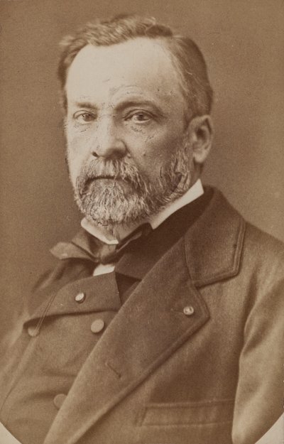 Portrett av Louis Pasteur 1822-1895, ca. 1870. av Unbekannt