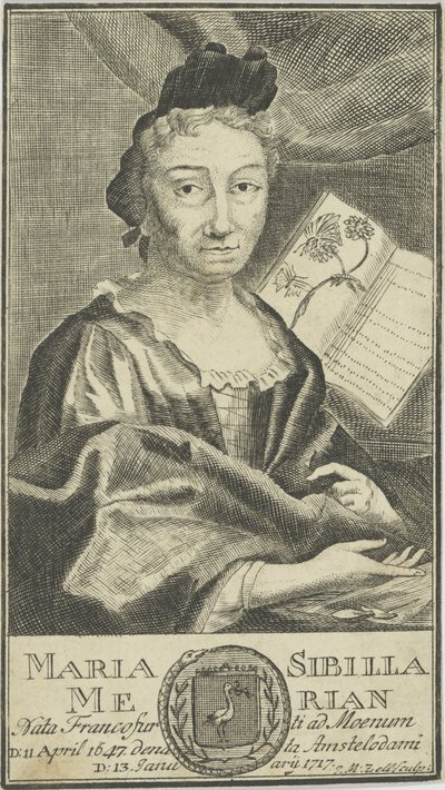 Portrett av Maria Sibylla Merian 1647-1717, 1755. av Unbekannt