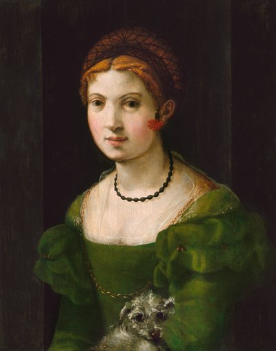 Portrett av en ung kvinne, 15301540. av Unbekannt