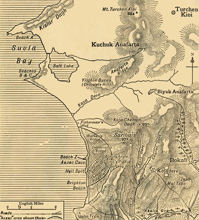 Posisjoner til ANZAC-styrker på Gallipoli-halvøya i Tyrkia, første verdenskrig, juli 1915, c1920. av Unbekannt