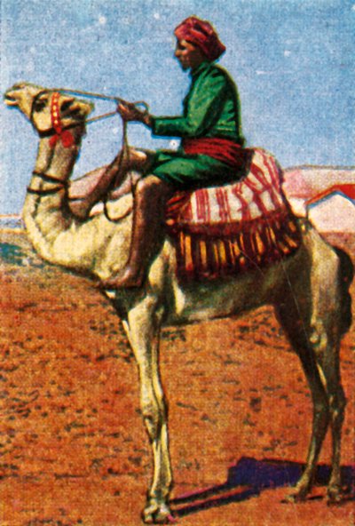 Post levert av camel, Arabia, c1928. av Unbekannt