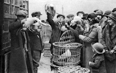 Fjærkrehandlere, Caledonian Market, London, 1926-1927 av Unbekannt