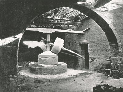 Primitiv maismølle, Nildeltaet, Egypt, 1895. av Unbekannt