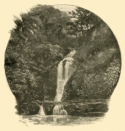 Pyrddin Falls, Vale of Neath, 1898. av Unbekannt