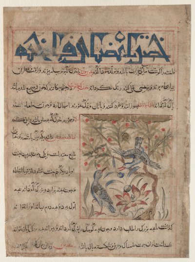 Kvaliteter til Ringdoves recto, On the Benefits of Quails verso..., ca. 1300. av Unbekannt
