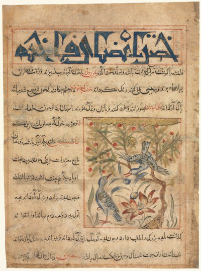 Kvaliteter til Ringdoves recto fra en Manafi al-Hayawan On the Usefulness of Animals, ca. 1300. av Unbekannt