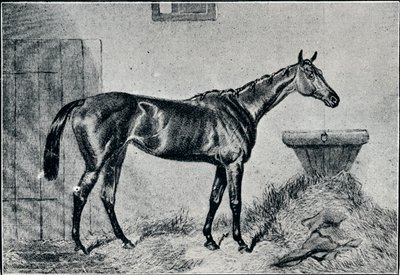 Dronning Bertha, 1800-tallet, 1911 av Unbekannt
