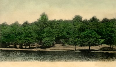 Queensmere, Wimbledon Common, London, 1903. av Unbekannt