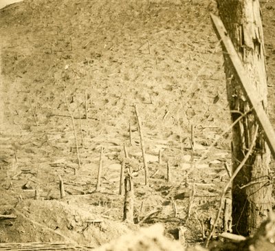 Ravine ved Les Éparges, Nord-Frankrike, c1914-c1918. av Unbekannt