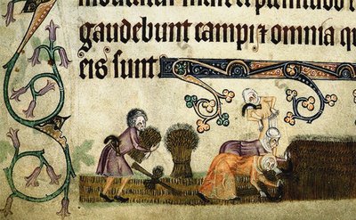 Høste og binde skiver fra Luttrell Psalter, ca 1330 av Unbekannt