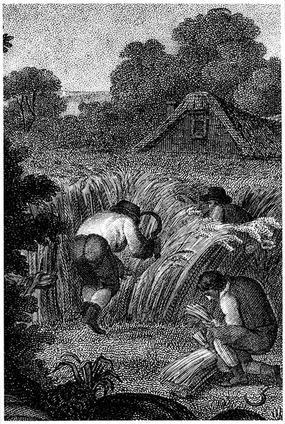 Høste med sigd og binde skjærene, England, c1800 av Unbekannt