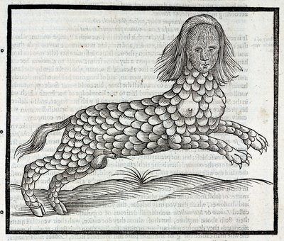 "Representation de la creature Lamia (Sybaris) Gravure dekk av "History of Four-footed Beastes" d'Edward Topsell 1607 The Lamia av Unbekannt