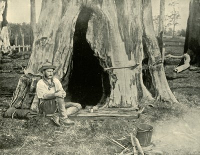 Hvile, 1901. av Unbekannt