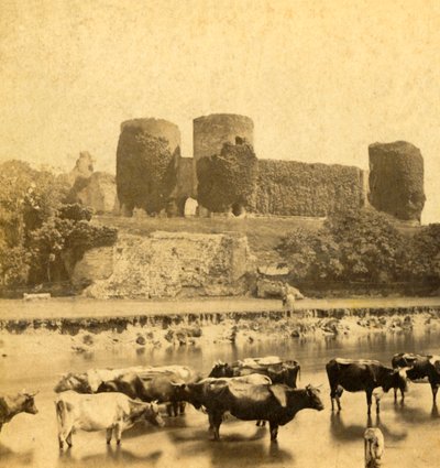 Rhuddlan - Slott fra elven, ca 1900. av Unbekannt
