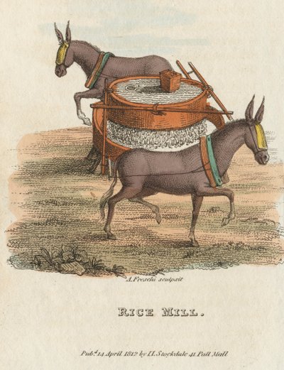 Rismølle, 1813 av Unbekannt
