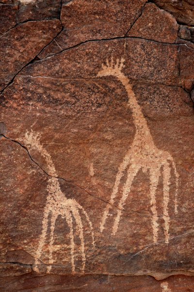 Bergkunst, forhistorie: Detalj av en gravering av sjiraffer i Uweinat-massivet, Egypt. (Periode fra 8000 til 3000 år f.Kr.). Fotografering av Unbekannt