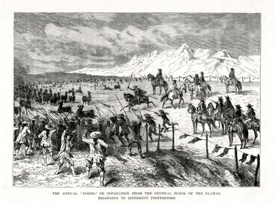 Rodeo, Südamerika, 1877 von Unbekannt