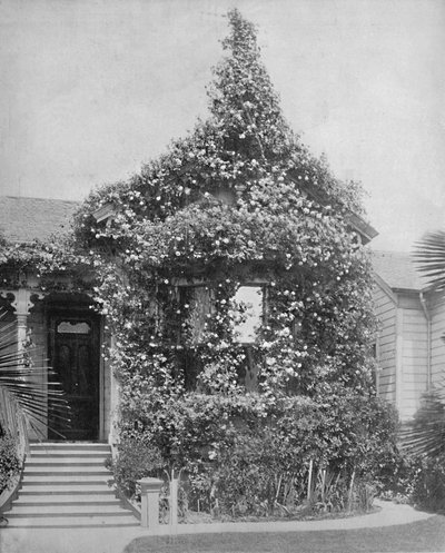 Rose Cottage, South Spring Street, Los Angeles, California, c1897. av Unbekannt