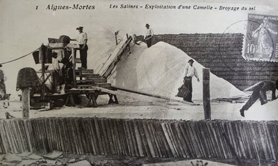 Saltworks, Camargue, Aigues-Mortes, Provenece, Frankrike (s/hvitt-bilde) av Unbekannt