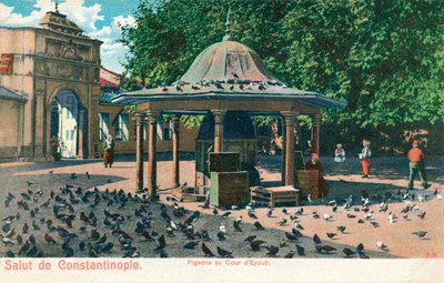Salut de Constantinople - Duer ved domstolen i Eyoub, ca 1900 av Unbekannt