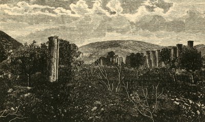 Samaria, 1890. av Unbekannt