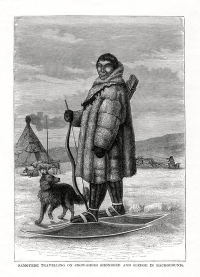 Samoyede reiser på snøsko, Russland, 1877 av Unbekannt