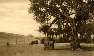 Saqqara - Trinnpyramiden sett fra Sycomore, c1918-c1939. av Unbekannt