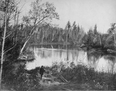 Scene ved Peshtigo River, Wisconsin, ca 1897. av Unbekannt