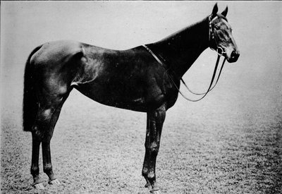Sceptre, 1899-1926, 1911 av Unbekannt