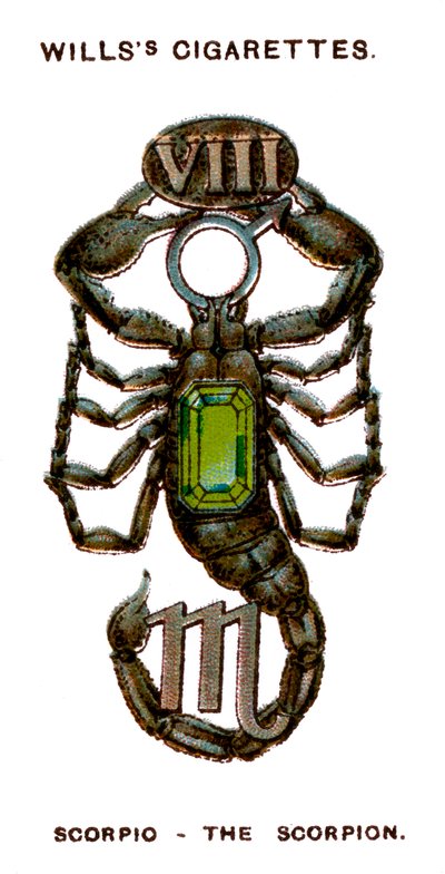 Scorpio, The Scorpion, 1923 av Unbekannt