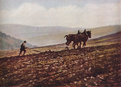 Skottland, ca 1930-tallet av Unbekannt