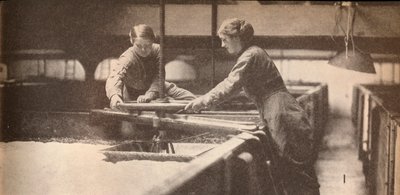 Skruing ned gjæren i et Burton-On-Trent bryggeri, c1916, 1935 av Unbekannt