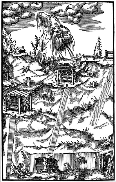 Utsnitt av en tysk gruve, 1556 av Unbekannt