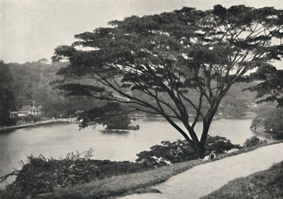 Lake, Temple of the Sacred Tooth Reed og bibliotek i Kandy, sett øst fra Victoria Drive, 192 av Unbekannt