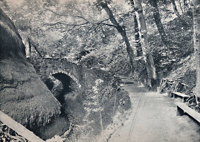 Shanklin - The Chine, 1895 av Unbekannt
