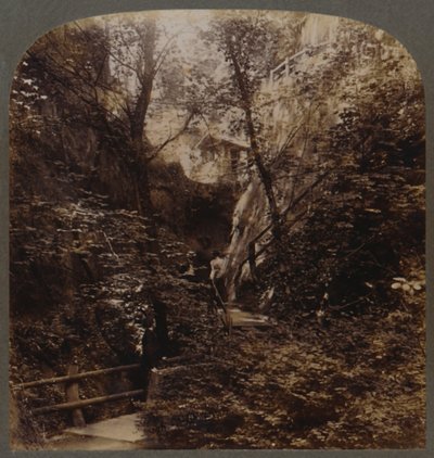 Shanklin Chine av verdensomspennende berømmelse, Isle of Wight, England, c1910. av Unbekannt