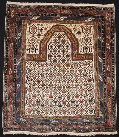 Shirvan av Unbekannt