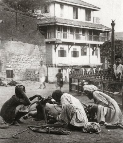 Skoe en okse, India, c1927-c1929 av Unbekannt