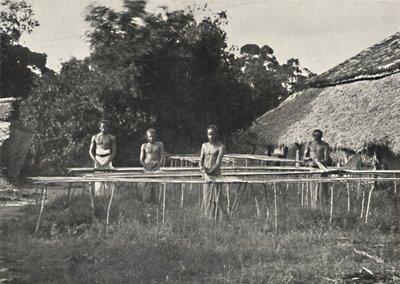 Singalesiske kanelarbeidere på jobb, 1926 av Unbekannt