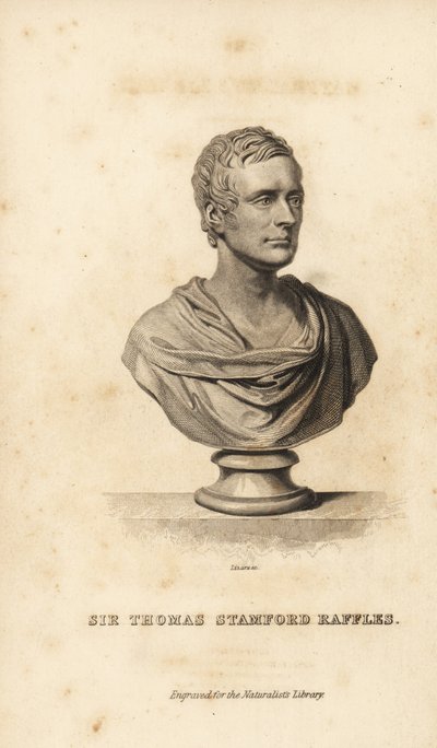 Sir Thomas Stamford Raffles , britisk statsmann, forfatter og naturforsker av Unbekannt