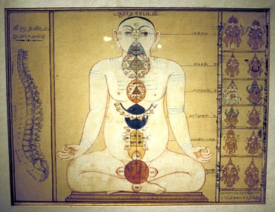 Seks chakraer som representerer plexusene i menneskekroppen, Tanjore, Tamil Nadu, c1850 av Unbekannt