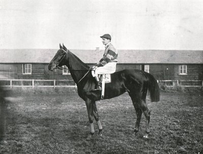 Skyskraper, 1911. av Unbekannt