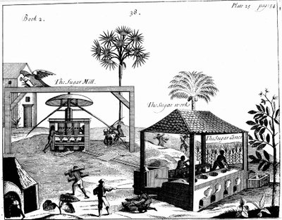 Slavearbeid på en sukkerplantasje i Vestindia, 1725 av Unbekannt