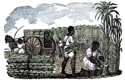 Slaver høster sukkerrør i Louisiana, 1833 av Unbekannt