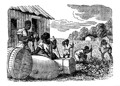 Slaver som jobber på en tobakksplantasje, 1833 av Unbekannt